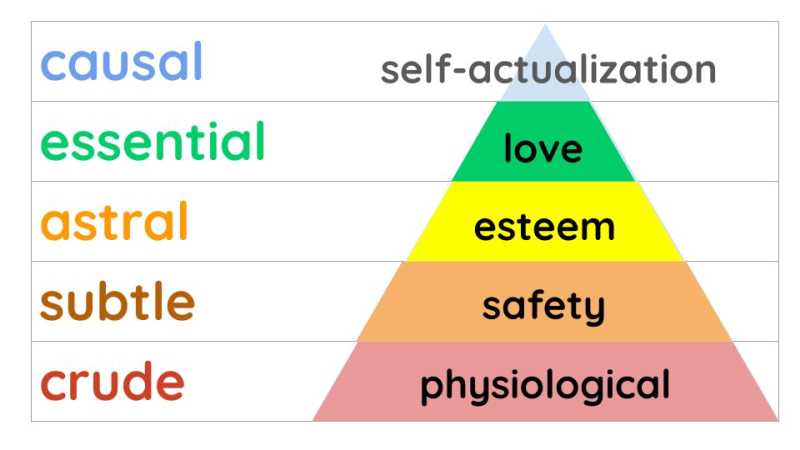 Abraham Maslow hierarchy of needs